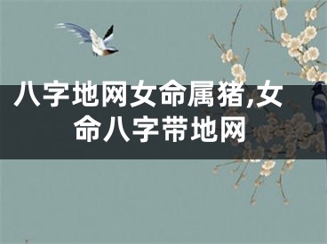 八字地网女命属猪,女命八字带地网