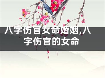 八字伤官女命婚姻,八字伤官的女命