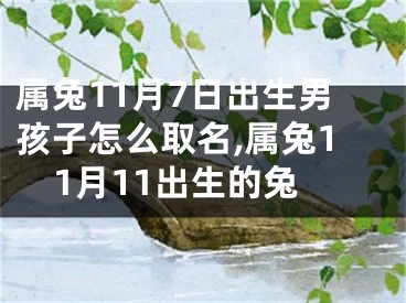 属兔11月7日出生男孩子怎么取名,属兔11月11出生的兔