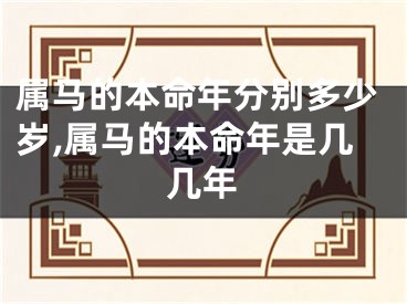属马的本命年分别多少岁,属马的本命年是几几年