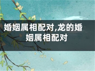 婚姻属相配对,龙的婚姻属相配对