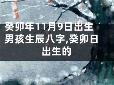 癸卯年11月9日出生男孩生辰八字,癸卯日出生的