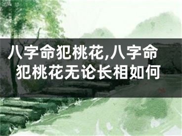 八字命犯桃花,八字命犯桃花无论长相如何