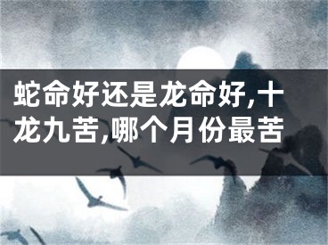 蛇命好还是龙命好,十龙九苦,哪个月份最苦