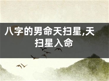 八字的男命天扫星,天扫星入命