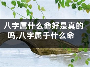 八字属什么命好是真的吗,八字属于什么命