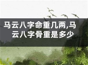 马云八字命重几两,马云八字骨重是多少