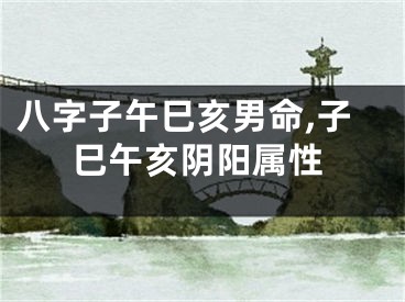 八字子午巳亥男命,子巳午亥阴阳属性