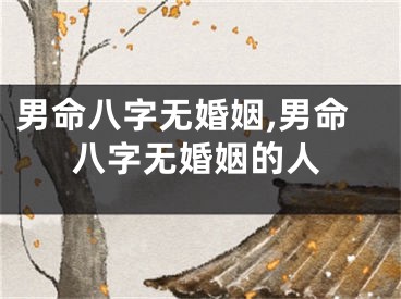 男命八字无婚姻,男命八字无婚姻的人