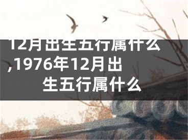 12月出生五行属什么,1976年12月出生五行属什么