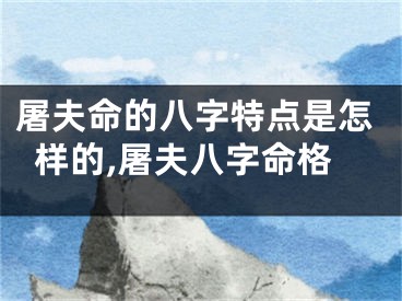 屠夫命的八字特点是怎样的,屠夫八字命格