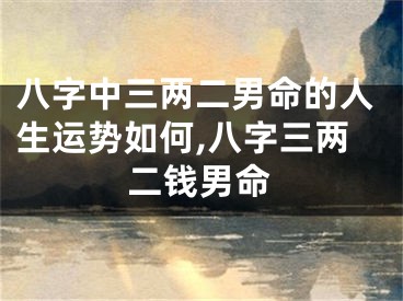 八字中三两二男命的人生运势如何,八字三两二钱男命