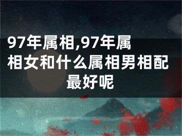 97年属相,97年属相女和什么属相男相配最好呢