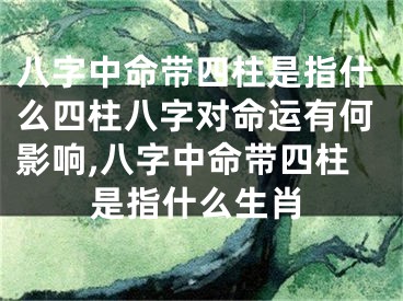 八字中命带四柱是指什么四柱八字对命运有何影响,八字中命带四柱是指什么生肖