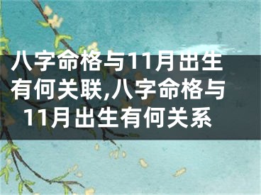 八字命格与11月出生有何关联,八字命格与11月出生有何关系