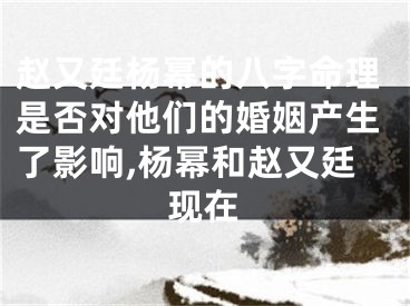 赵又廷杨幂的八字命理是否对他们的婚姻产生了影响,杨幂和赵又廷现在