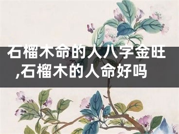 石榴木命的人八字金旺,石榴木的人命好吗