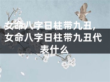 女命八字日柱带九丑,女命八字日柱带九丑代表什么