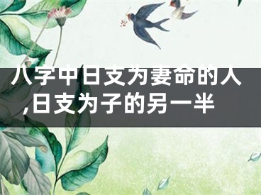 八字中日支为妻命的人,日支为子的另一半