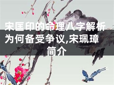 宋匡印的命理八字解析为何备受争议,宋珮璋简介