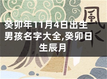 癸卯年11月4日出生男孩名字大全,癸卯日生辰月
