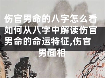 伤官男命的八字怎么看如何从八字中解读伤官男命的命运特征,伤官男面相