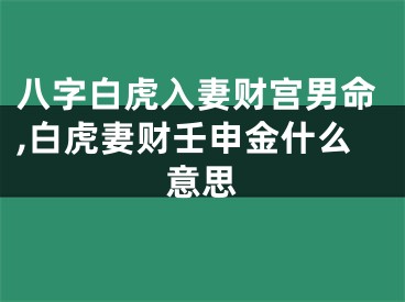 八字白虎入妻财宫男命,白虎妻财壬申金什么意思