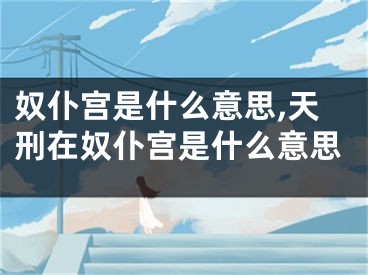 奴仆宫是什么意思,天刑在奴仆宫是什么意思