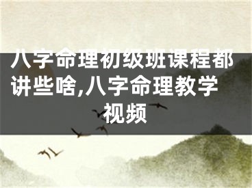 八字命理初级班课程都讲些啥,八字命理教学视频