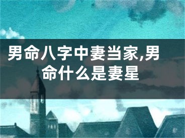 男命八字中妻当家,男命什么是妻星