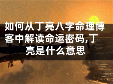 如何从丁亮八字命理博客中解读命运密码,丁亮是什么意思