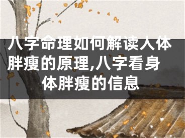 八字命理如何解读人体胖瘦的原理,八字看身体胖瘦的信息