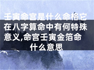 壬寅命宫是什么命格它在八字算命中有何特殊意义,命宫壬寅金箔命什么意思