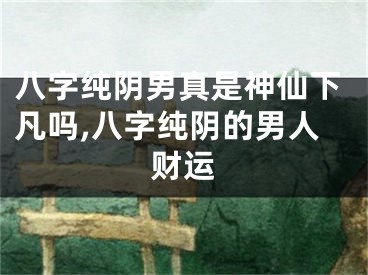 八字纯阴男真是神仙下凡吗,八字纯阴的男人财运
