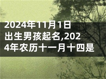 2024年11月1日出生男孩起名,2024年农历十一月十四是