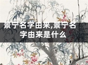 景宁名字由来,景宁名字由来是什么