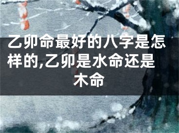 乙卯命最好的八字是怎样的,乙卯是水命还是木命