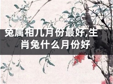 兔属相几月份最好,生肖兔什么月份好