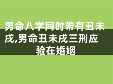 男命八字同时带有丑未戌,男命丑未戌三刑应验在婚姻