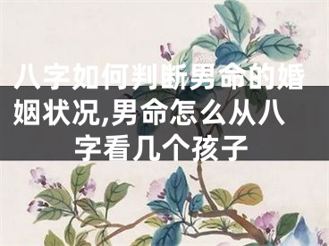 八字如何判断男命的婚姻状况,男命怎么从八字看几个孩子