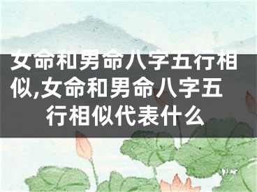 女命和男命八字五行相似,女命和男命八字五行相似代表什么