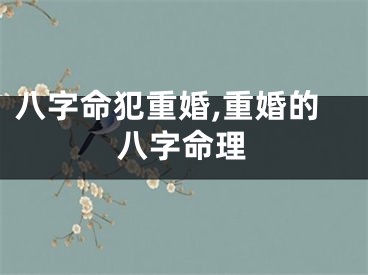 八字命犯重婚,重婚的八字命理