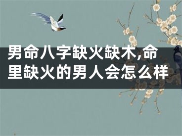 男命八字缺火缺木,命里缺火的男人会怎么样