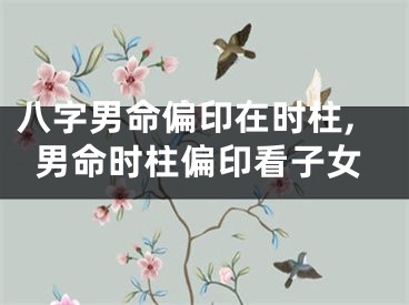 八字男命偏印在时柱,男命时柱偏印看子女