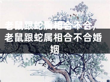 老鼠跟蛇属相合不合,老鼠跟蛇属相合不合婚姻