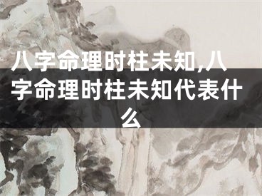 八字命理时柱未知,八字命理时柱未知代表什么