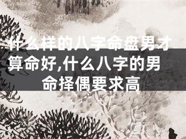 什么样的八字命盘男才算命好,什么八字的男命择偶要求高