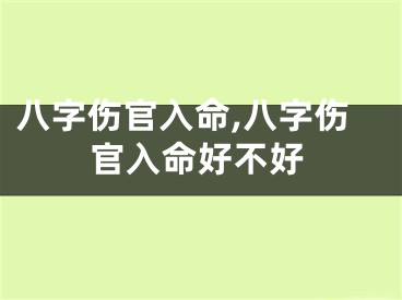 八字伤官入命,八字伤官入命好不好
