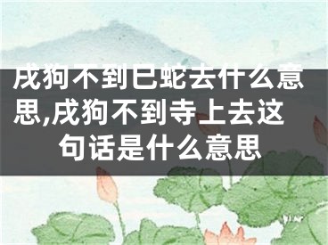 戌狗不到巳蛇去什么意思,戌狗不到寺上去这句话是什么意思