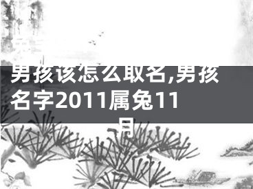 兔宝宝11月1日出生男孩该怎么取名,男孩名字2011属兔11月